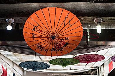 迷宫探索RPG《废墟上绽放的土豆花》3月10日正式发售